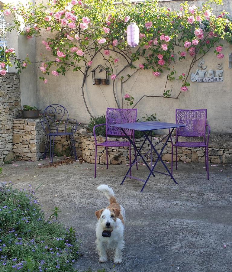 Pause Couleur Lavandula Roussas Esterno foto