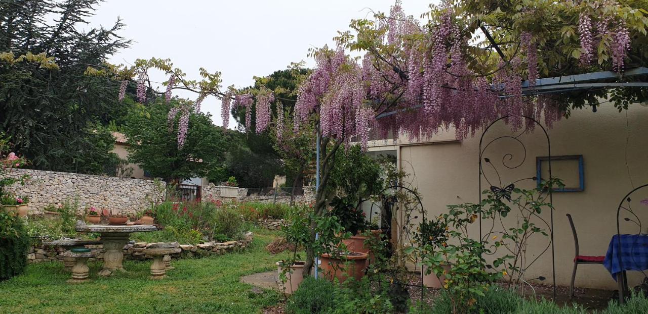 Pause Couleur Lavandula Roussas Esterno foto