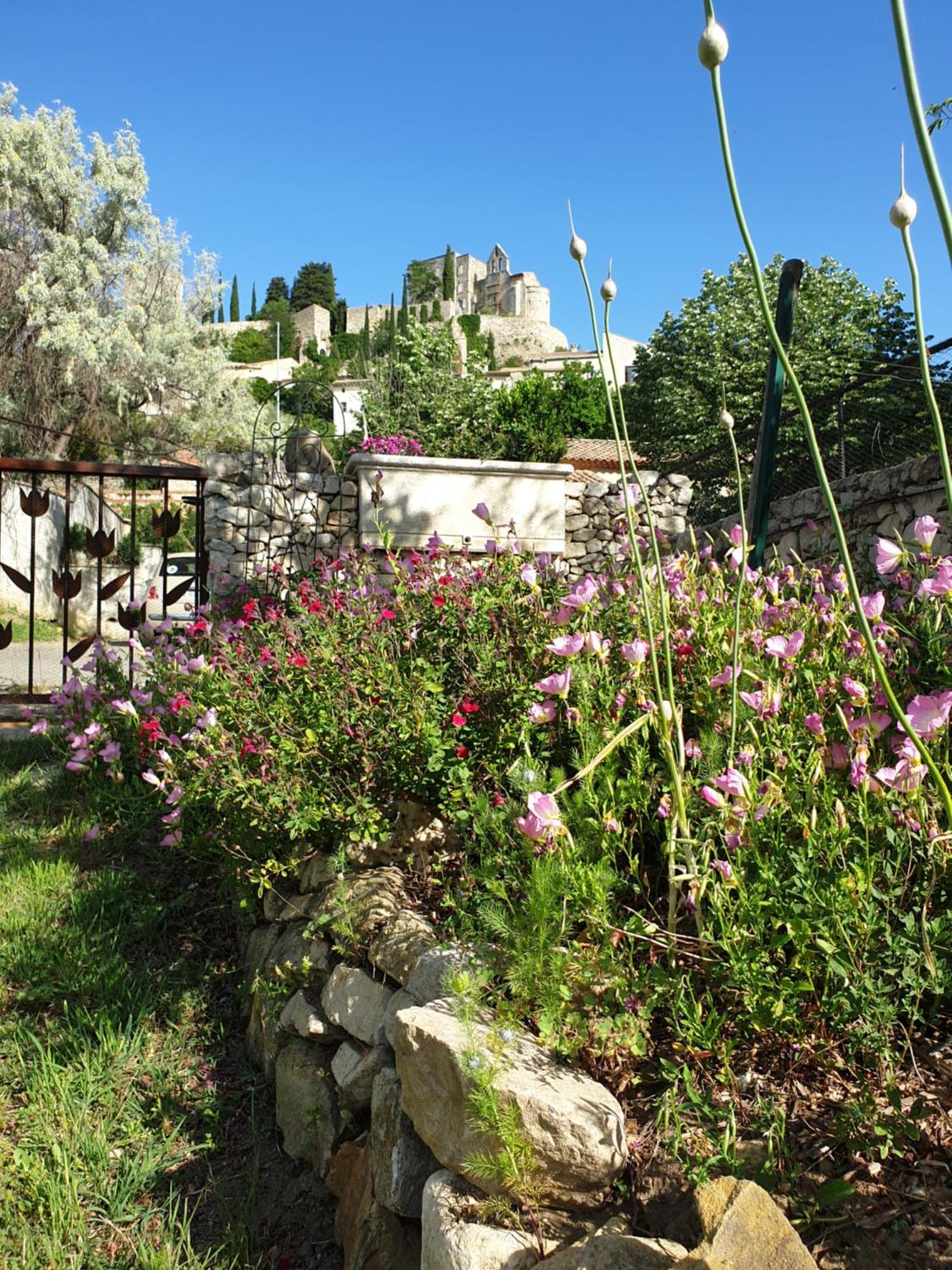 Pause Couleur Lavandula Roussas Esterno foto