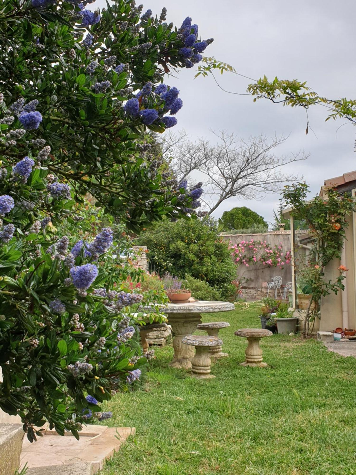 Pause Couleur Lavandula Roussas Esterno foto